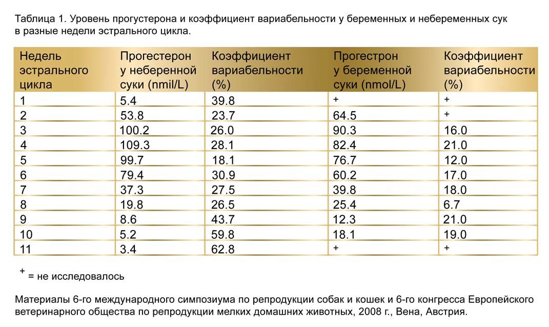 Что такое прогестерон у собак. Смотреть фото Что такое прогестерон у собак. Смотреть картинку Что такое прогестерон у собак. Картинка про Что такое прогестерон у собак. Фото Что такое прогестерон у собак
