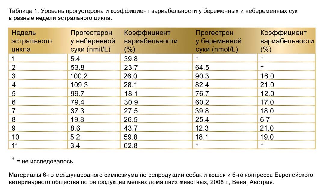 Доклад по теме Половой цикл собак и кошек