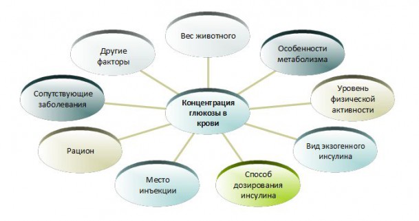 Пурина для собак с диабетом