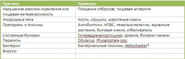 Гастропротекторы для кошек что это. Смотреть фото Гастропротекторы для кошек что это. Смотреть картинку Гастропротекторы для кошек что это. Картинка про Гастропротекторы для кошек что это. Фото Гастропротекторы для кошек что это
