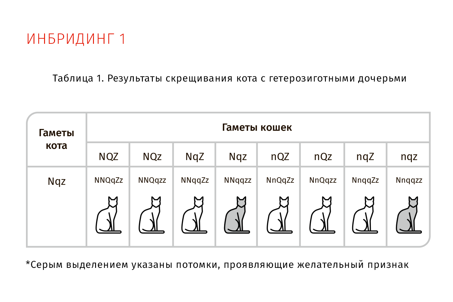Результаты скрещивания кота с гетерозиготными дочерьми