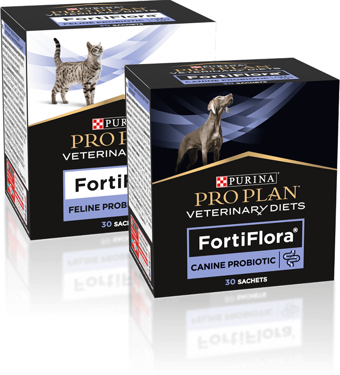Пробиотик для кошек и собак FortiFlora от Pro Plan | Purina Pro Plan