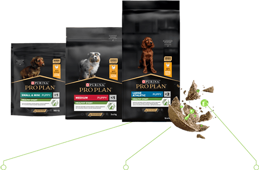 ВСЕ О ПОРОДЕ СОБАКИ PURINA PRO PLAN