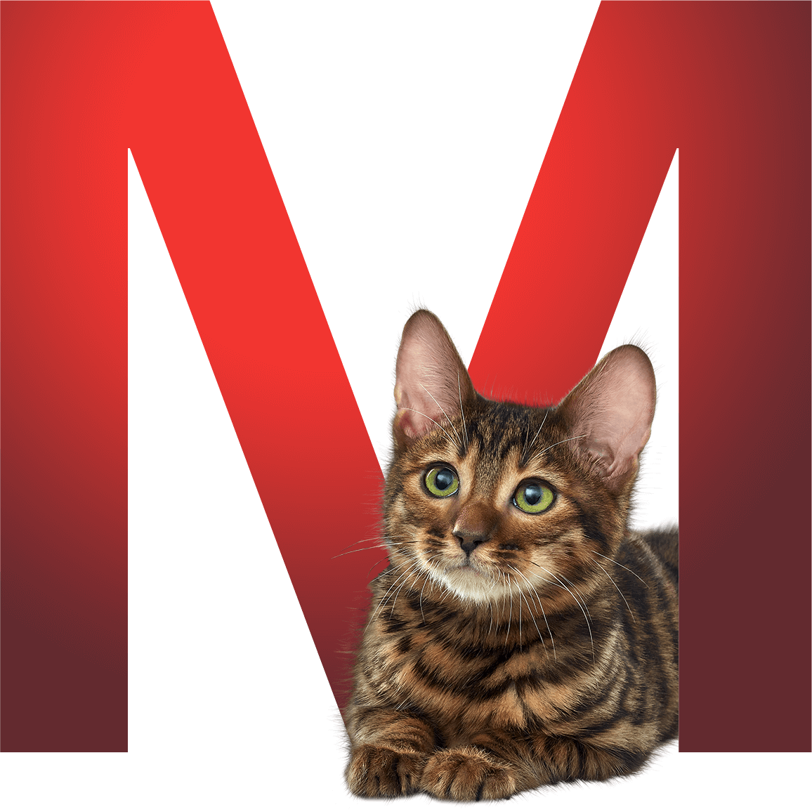 Буква M