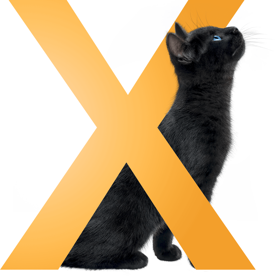 Буква X