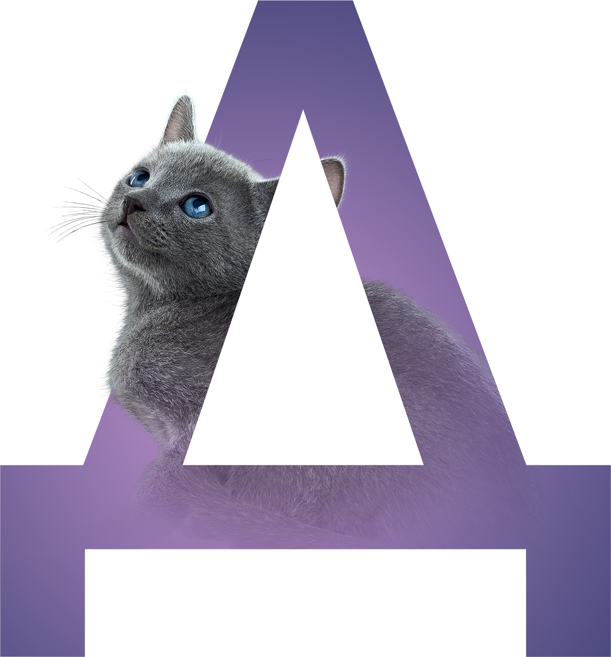 Буква Д