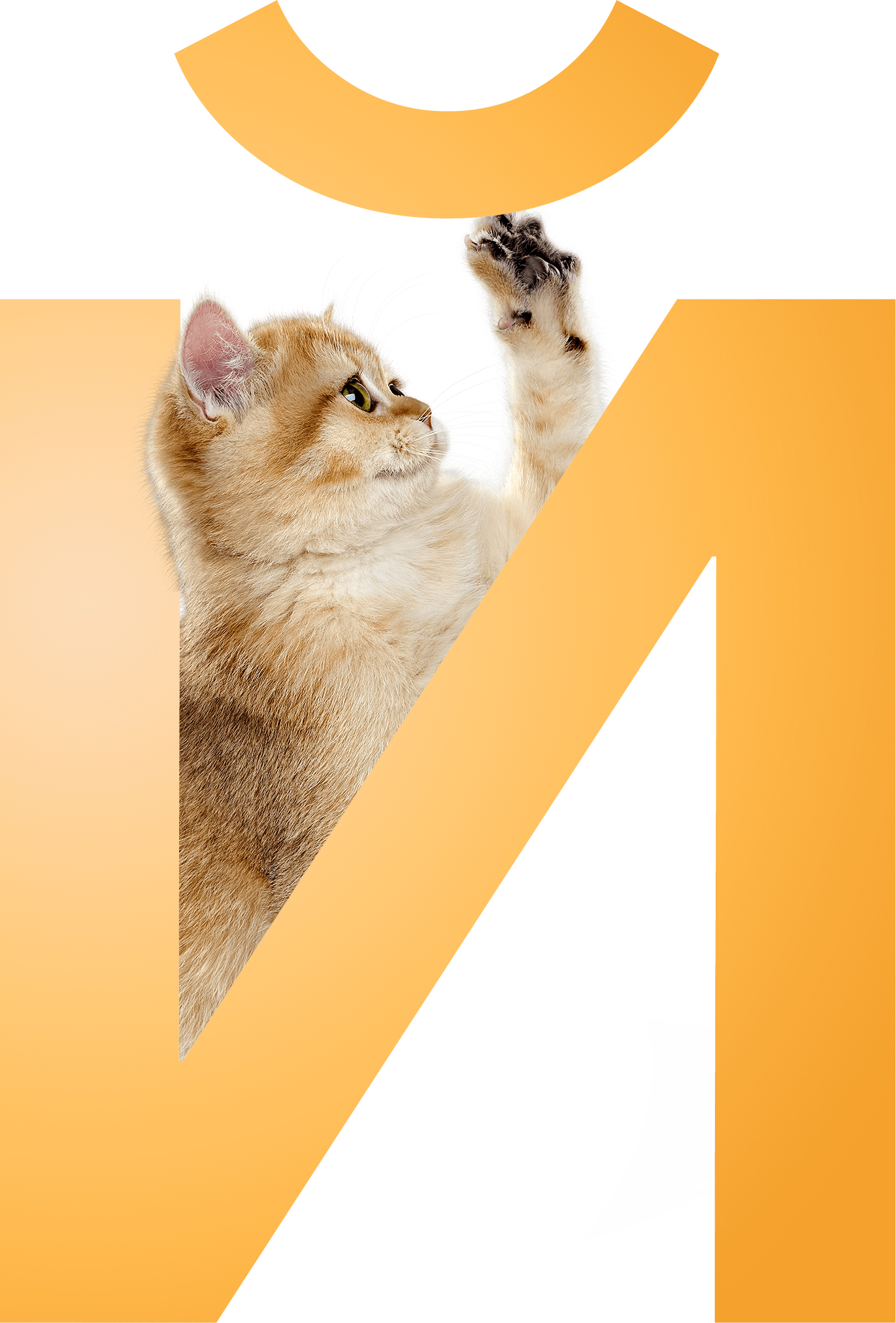Буква Й