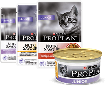 Proplan Junior корма