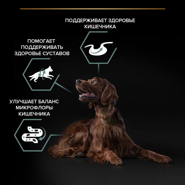Сухой корм PRO PLAN® для взрослых собак крупных пород с атлетическим телосложением с чувствительным пищеварением, с высоким содержанием ягненка