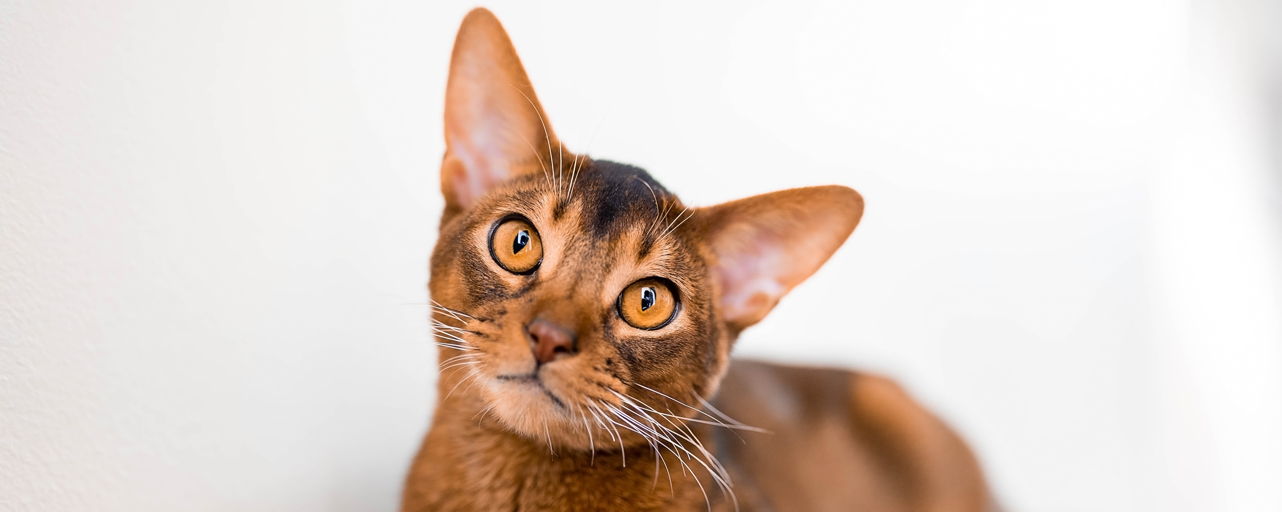 Выразительные глаза