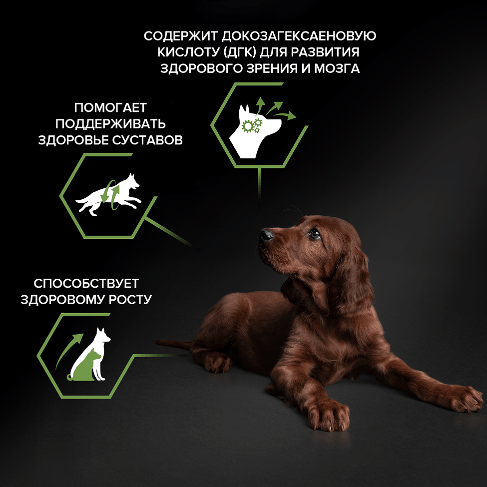 PRO PLAN® HEALTHY START для щенков крупных пород с атлетическим телосложением, с высоким содержанием курицы