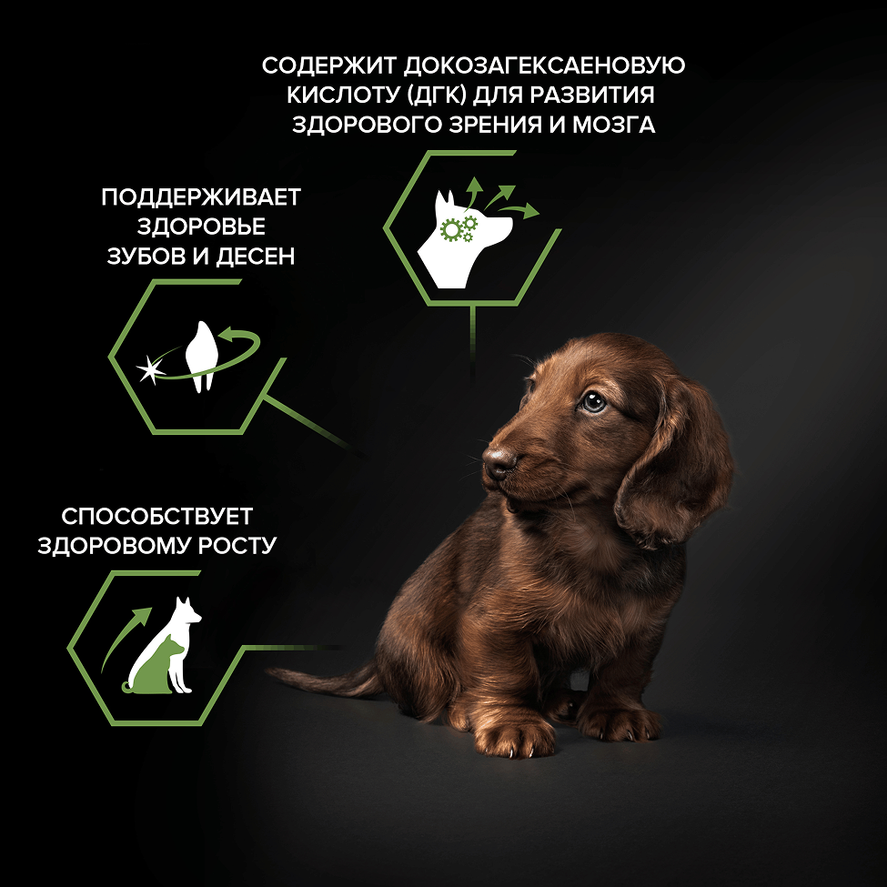 PRO PLAN® HEALTHY START для щенков мелких и карликовых пород, с высоким содержанием курицы