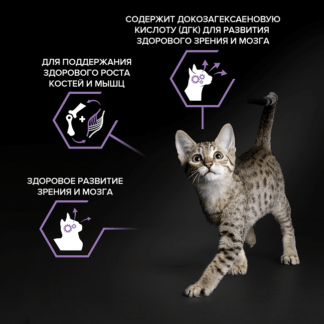 PRO PLAN® HEALTHY START для котят, с высоким содержанием курицы