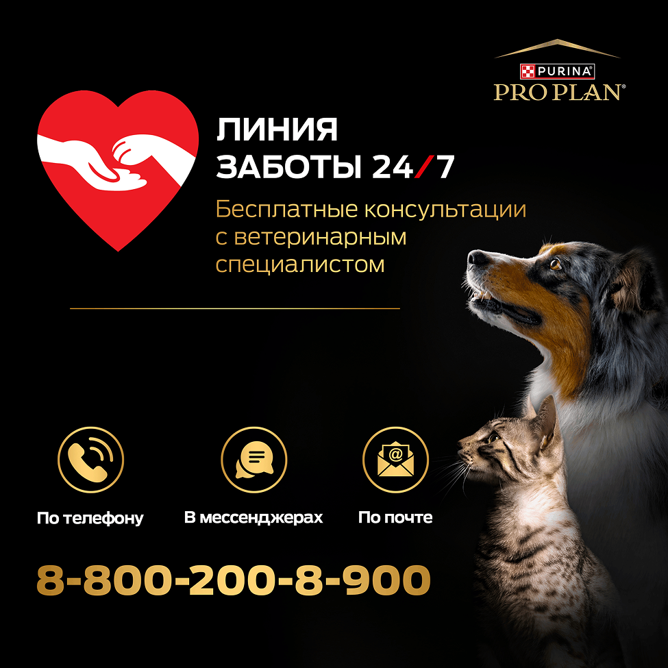 PRO PLAN® HEALTHY START для щенков крупных пород с атлетическим телосложением, с высоким содержанием курицы