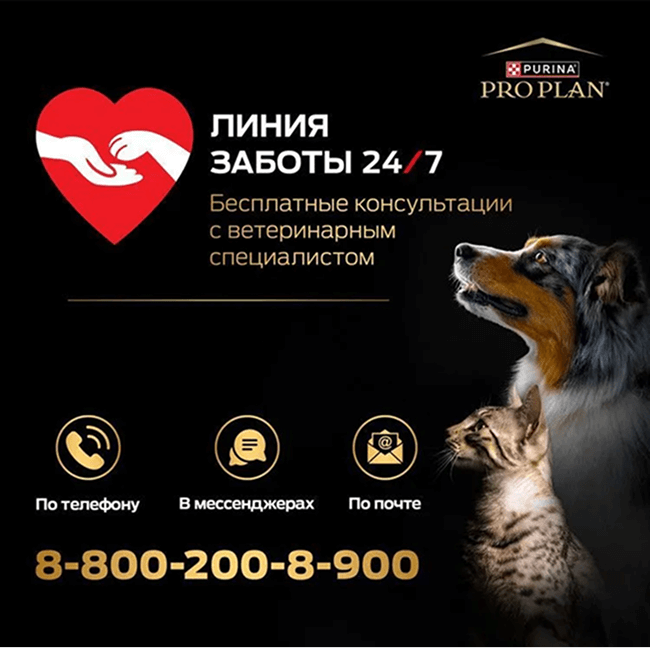 PRO PLAN® DELICATE DIGESTION для котят для чувствительного пищеварения с индейкой