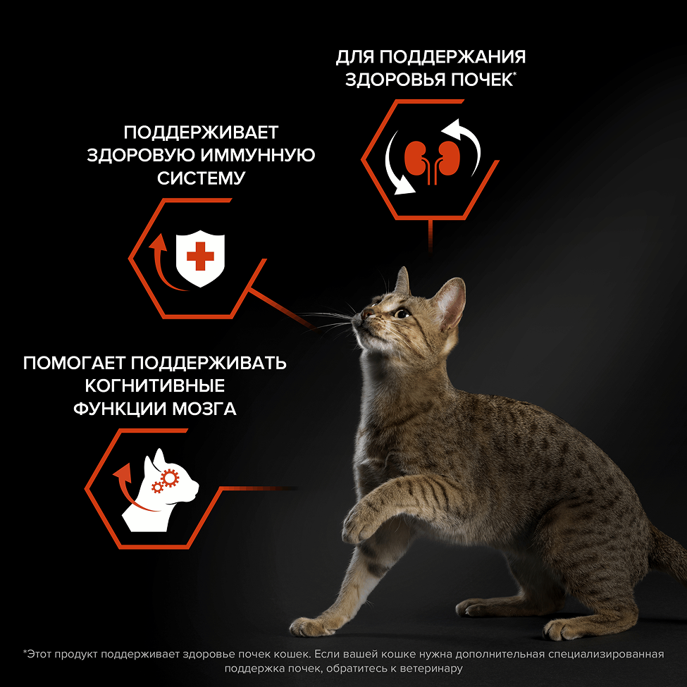 PRO PLAN® VITAL FUNCTIONS для взрослых кошек для поддержания функций почек, мозга и иммунитета, с высоким содержанием лосося