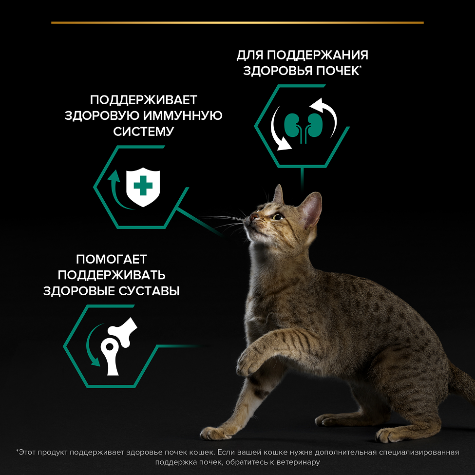 PRO PLAN® Adult RENAL PLUS для взрослых кошек, с высоким содержанием курицы