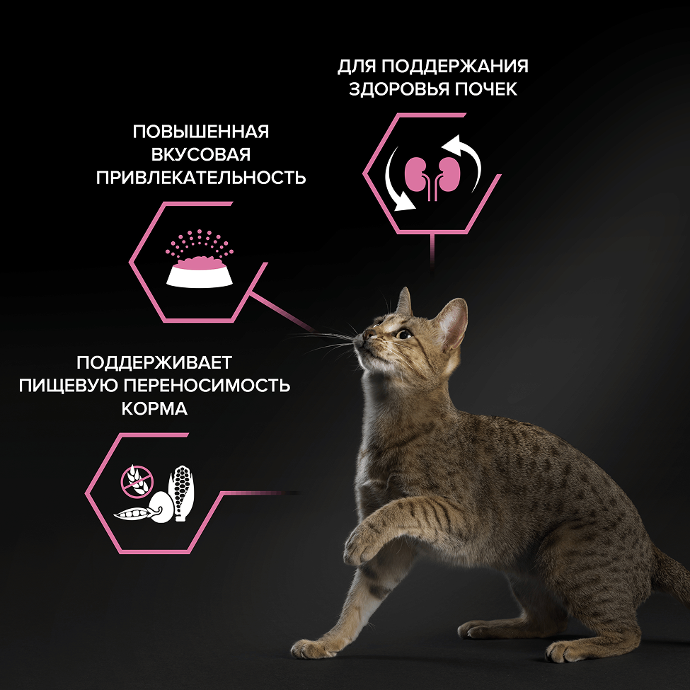 PRO PLAN® DELICATE DIGESTION для взрослых кошек с чувствительным пищеварением, с высоким содержанием ягненка