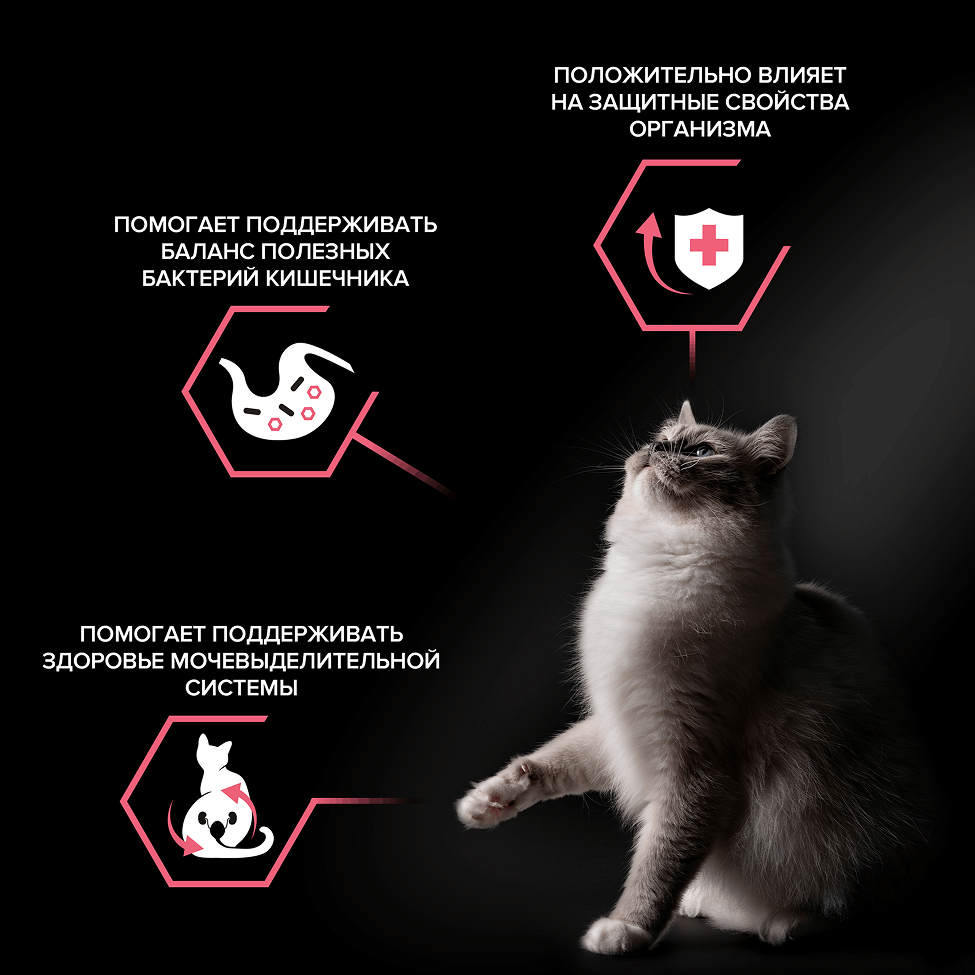 PURINA® PRO PLAN® DEFENCE для взрослых стерилизованных кошек