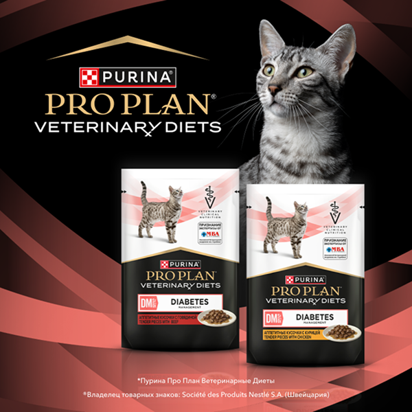 Влажный корм для кошек диетический PURINA® PRO PLAN® VETERINARY DIETS DM St/Ox Diabetes Management при диабете, с курицей