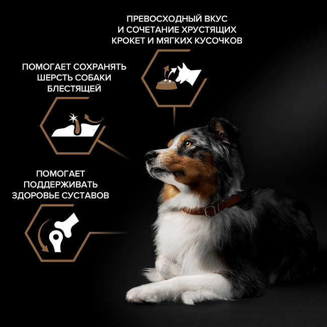 PRO PLAN® DUO DELICE для взрослых собак средних и крупных пород с двойной текстурой гранул, с высоким содержанием говядины