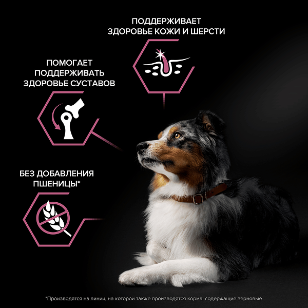 PRO PLAN® SENSITIVE SKIN для взрослых собак средних пород с чувствительной кожей, с высоким содержанием лосося