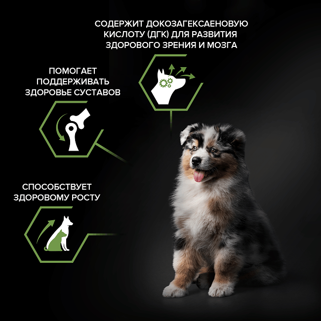 PRO PLAN® HEALTHY START для щенков средних пород, с высоким содержанием курицы