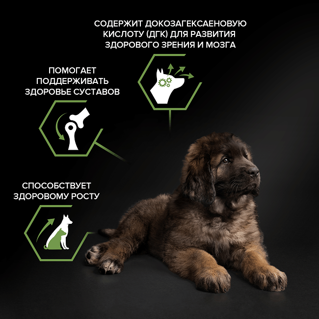 PRO PLAN® HEALTHY START для щенков крупных пород с мощным телосложением, с высоким содержанием курицы