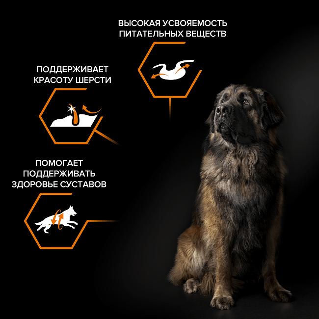 PRO PLAN® EVERYDAY NUTRITION для взрослых собак крупных пород с мощным телосложением, с высоким содержанием курицы