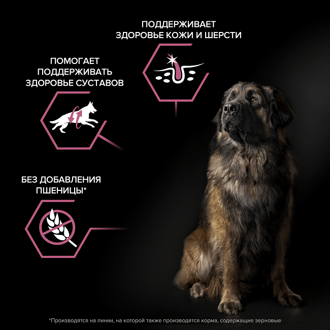 PRO PLAN® SENSITIVE SKIN для взрослых собак крупных пород с мощным телосложением с чувствительной кожей, с высоким содержанием лосося