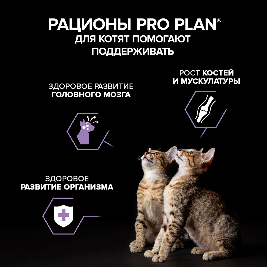 Влажный корм PRO PLAN® HEALTHY START для котят, беременных и кормящих кошек, паштет с индейкой