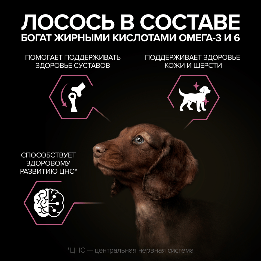 PRO PLAN® SENSITIVE SKIN для щенков мелких и карликовых пород с чувствительной кожей, с высоким содержанием лосося