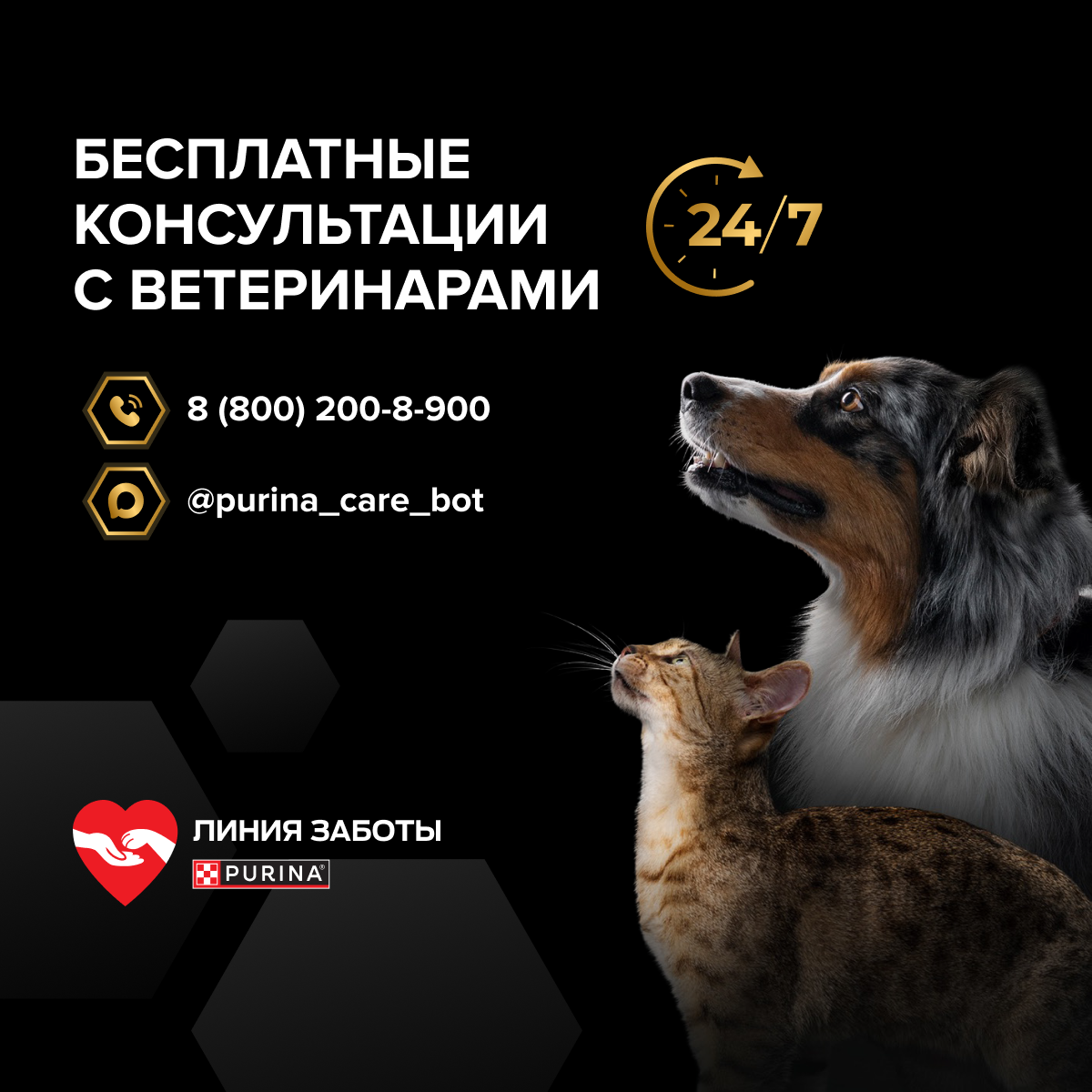 Сухой корм PRO PLAN® Sterilised Adult RENAL PLUS для взрослых стерилизованных кошек, с высоким содержанием индейки
