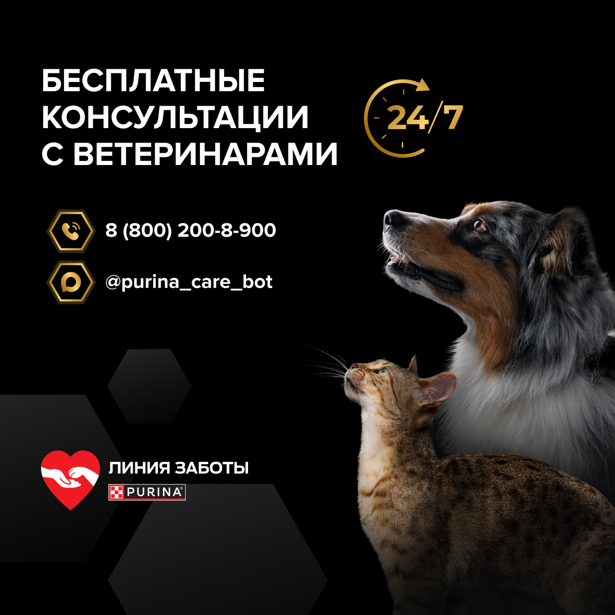 Сухой корм PRO PLAN® Sterilised RENAL PLUS для взрослых стерилизованных кошек для поддержания здоровья почек, с высоким содержанием лосося