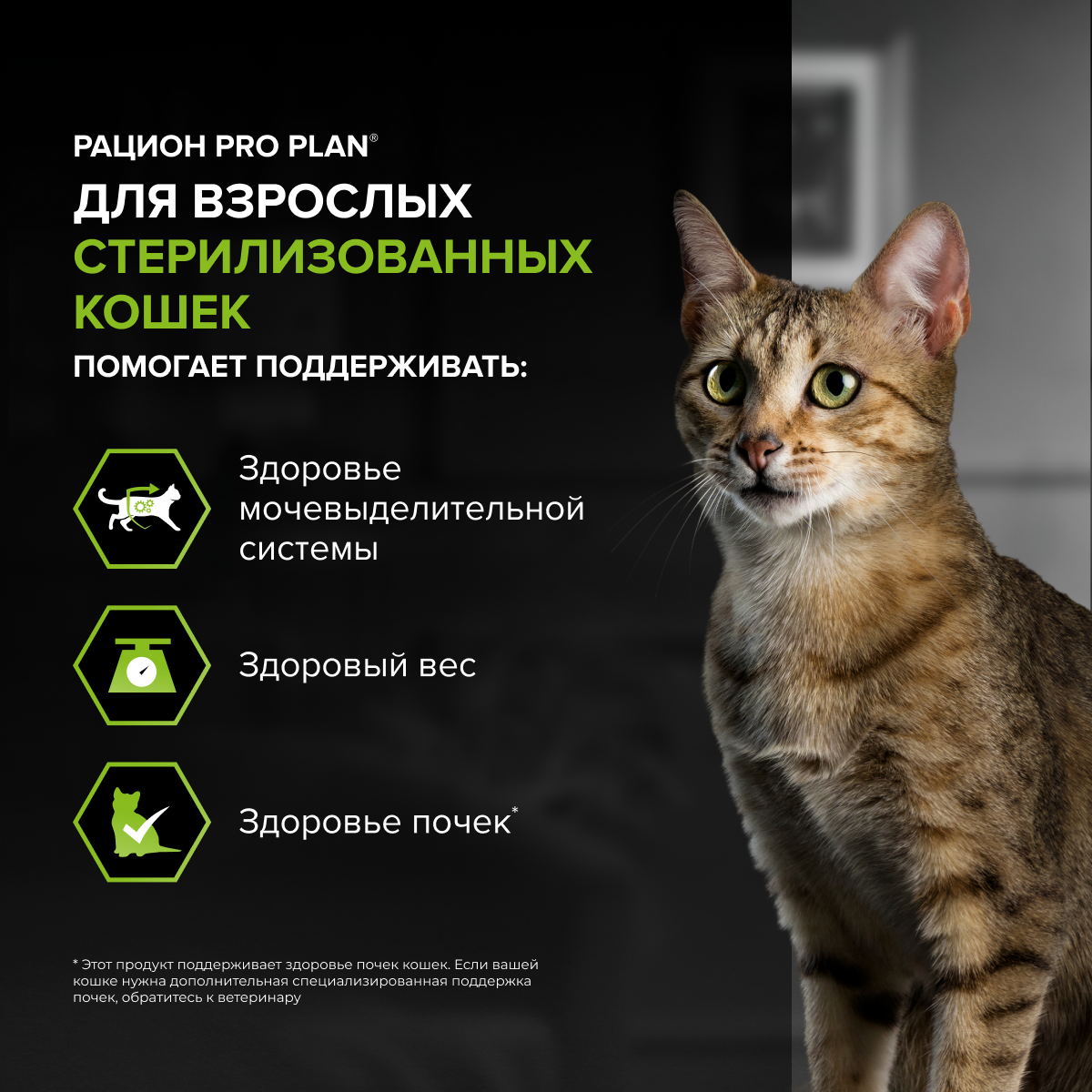 Сухой корм PRO PLAN® Sterilised RENAL PLUS для взрослых стерилизованных кошек для поддержания здоровья почек, с высоким содержанием лосося