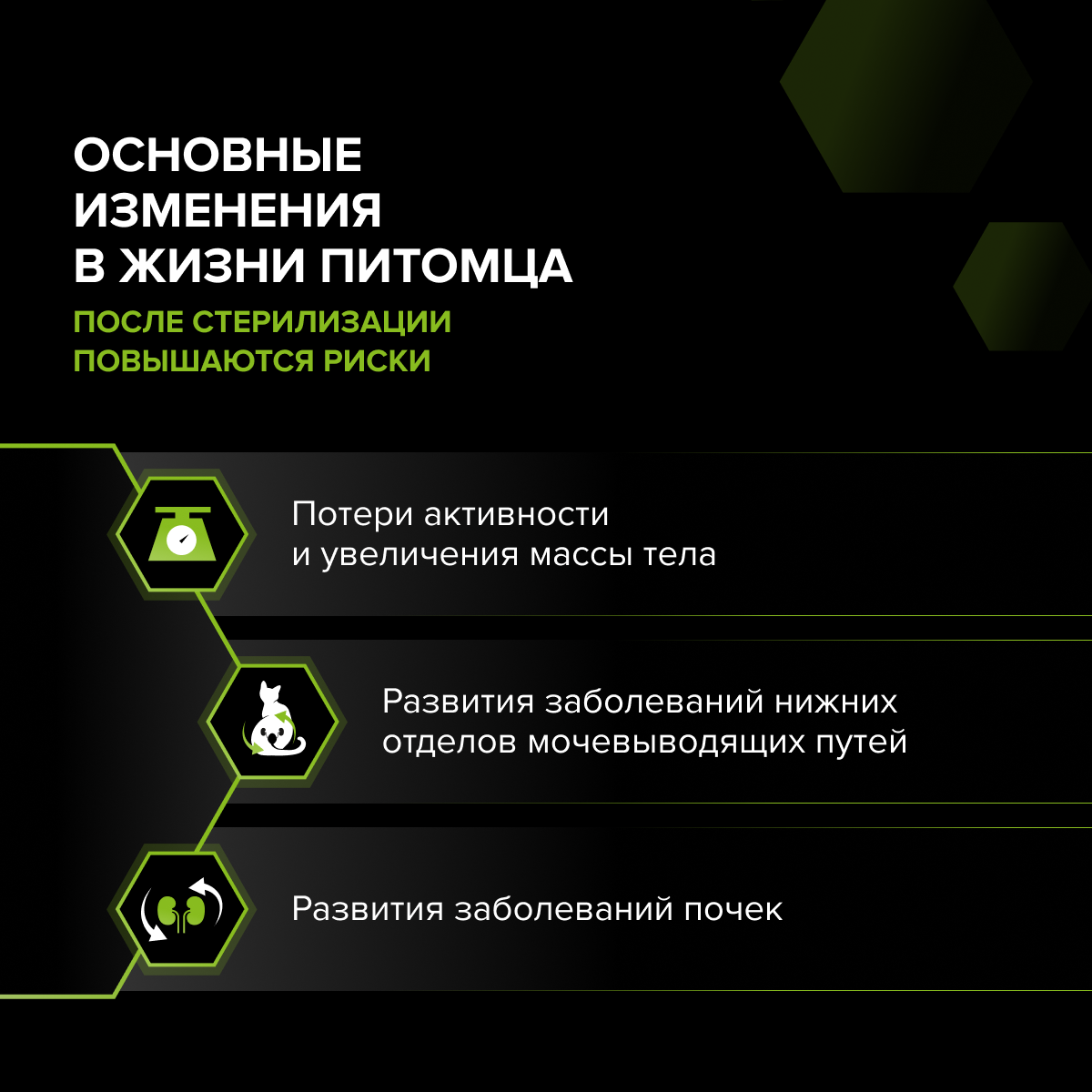 Сухой корм PRO PLAN® Sterilised RENAL PLUS для взрослых стерилизованных кошек для поддержания здоровья почек, с высоким содержанием лосося