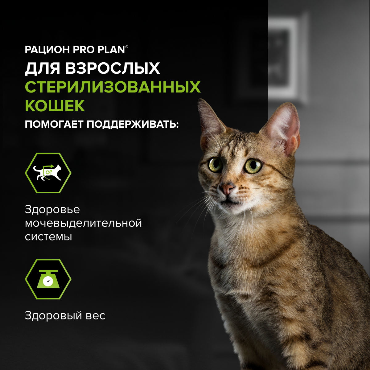 Сухой корм PRO PLAN® Sterilised Adult DELICATE DIGESTION для взрослых стерилизованных кошек с чувствительным пищеварением, с высоким содержанием курицы