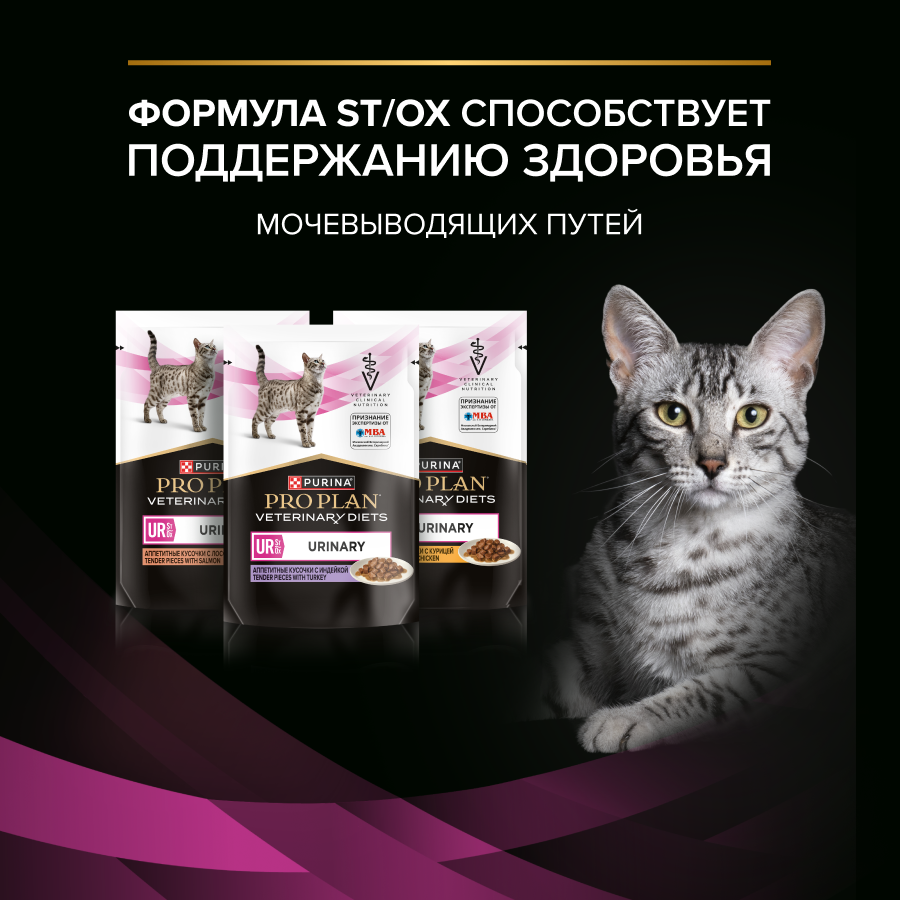 Влажный корм для кошек диетический PURINA® PRO PLAN® VETERINARY DIETS UR ST/OX Urinary при болезнях нижних отделов мочевыводящих путей, с курицей