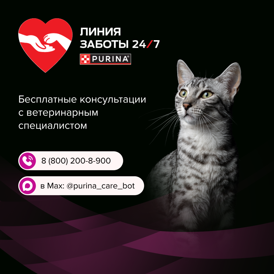 Влажный корм для кошек диетический PURINA® PRO PLAN® VETERINARY DIETS UR ST/OX Urinary при болезнях нижних отделов мочевыводящих путей, с курицей