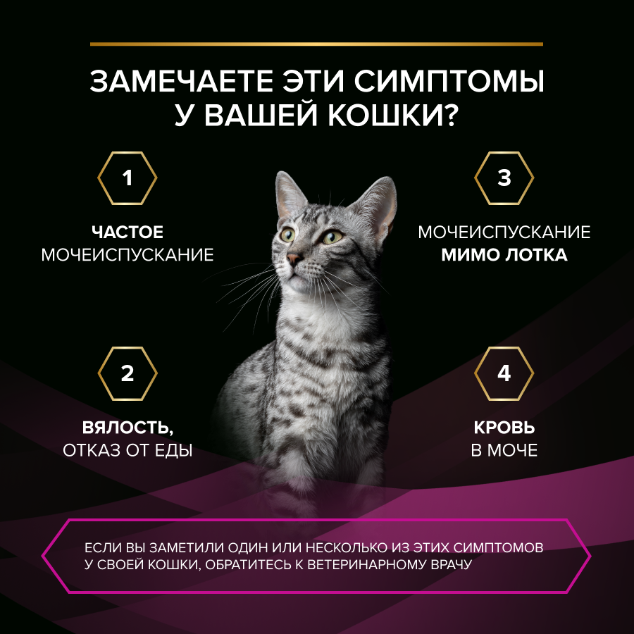 Влажный корм для кошек диетический PURINA® PRO PLAN® VETERINARY DIETS UR ST/OX Urinary при болезнях нижних отделов мочевыводящих путей, с курицей
