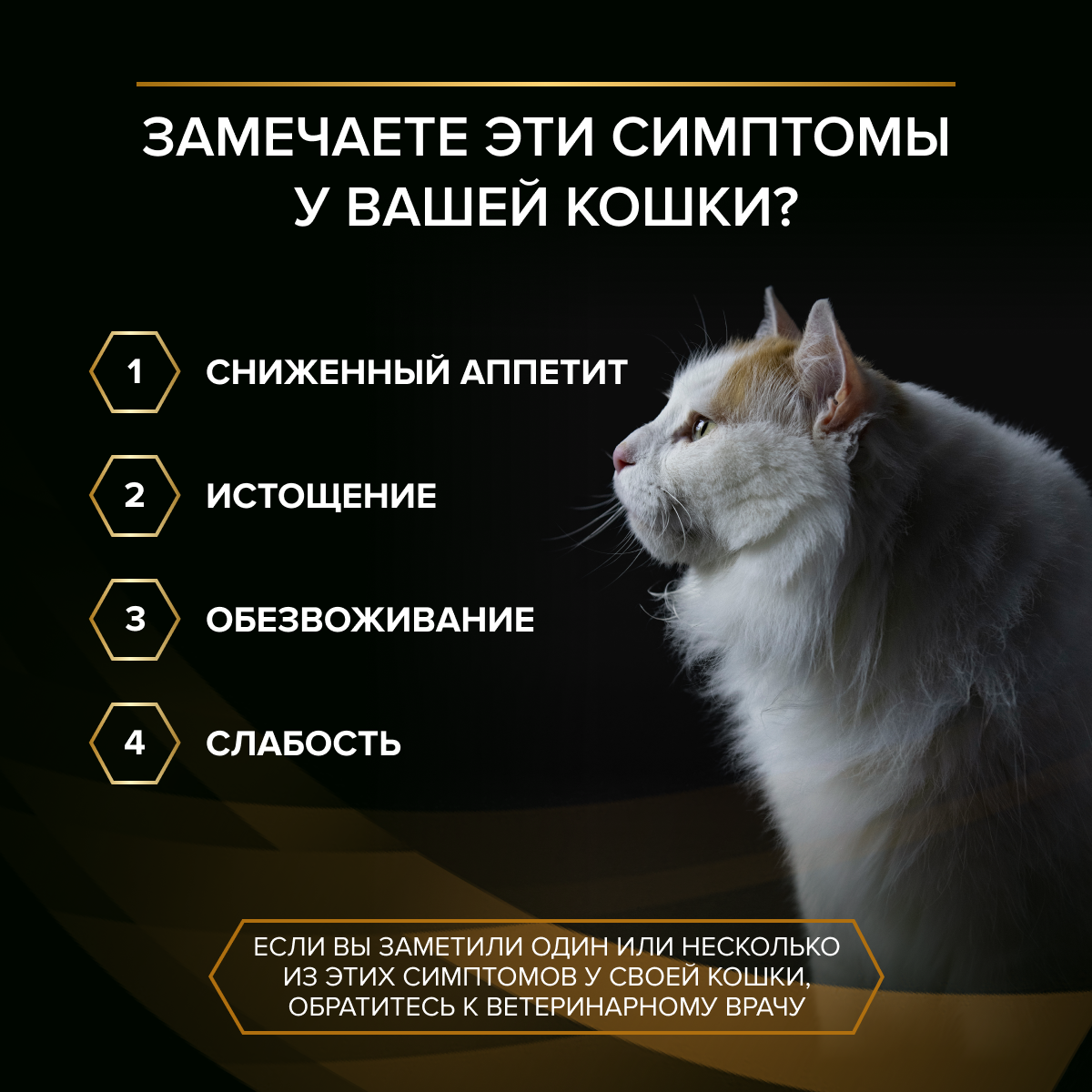Влажный корм для кошек диетический PRO PLAN®VETERINARY DIETS NF Renal Function Early Care для поддержания функции почек при хронической почечной недостаточности,с курицей