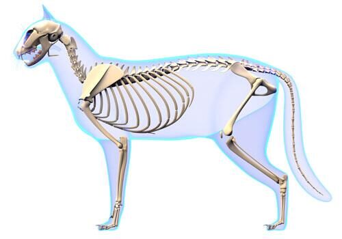 Возможность адаптации для разных видов повреждений