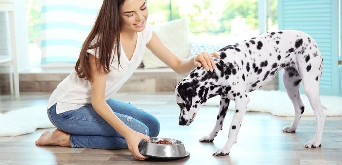 Сбалансированное кормление собак на этапе роста: кальций и фосфор, обеспечение энергией