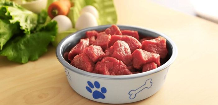 Диеты для кошек и собак на основе сырого мяса: недостатки и преимущества 