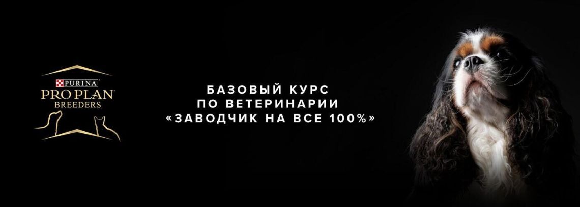 Первый видеокурс для заводчиков собак "Заводчик на все 100%"