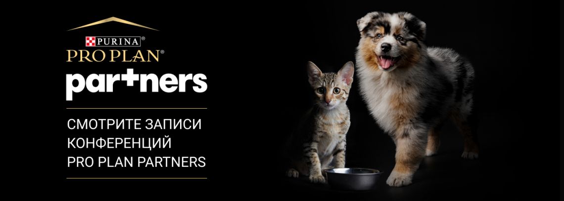 Смотрите записи конференций PRO PLAN PARTNERS