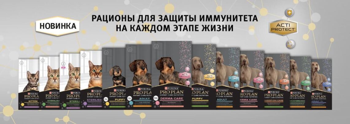 Новинка PRO PLAN® с комплексом ACTI-PROTECT® для активной защиты иммунитета