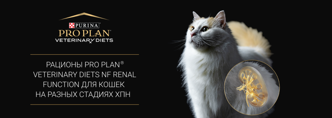 Обновленная линейка Purina® PRO PLAN® Veterinary Diets NF Renal Function для кошек на разных стадиях ХПН