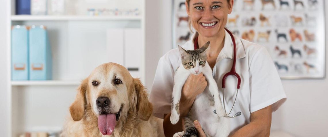 Открыт первый в Москве ветеринарный центр для лечения вирусных заболеваний у животных