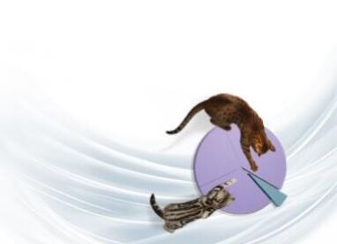 Хирургия височно-нижнечелюстного сустава у собак и кошек